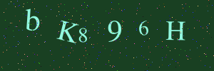 Validation image